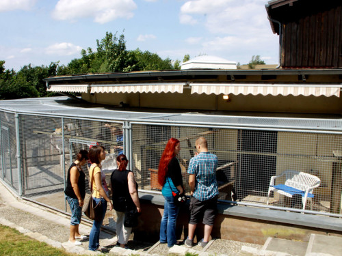 Sommerfest – Foto 74