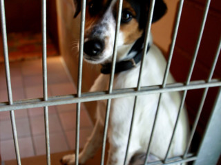 Foto 98397 im Album