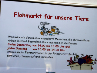 Foto 98405 im Album