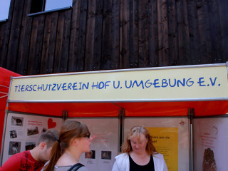 Vorschau des nächsten Fotos