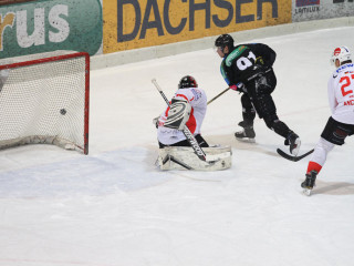 Foto 9851 im Album