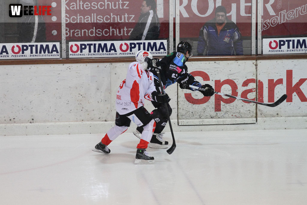Selber Wölfe - EV Regensburg