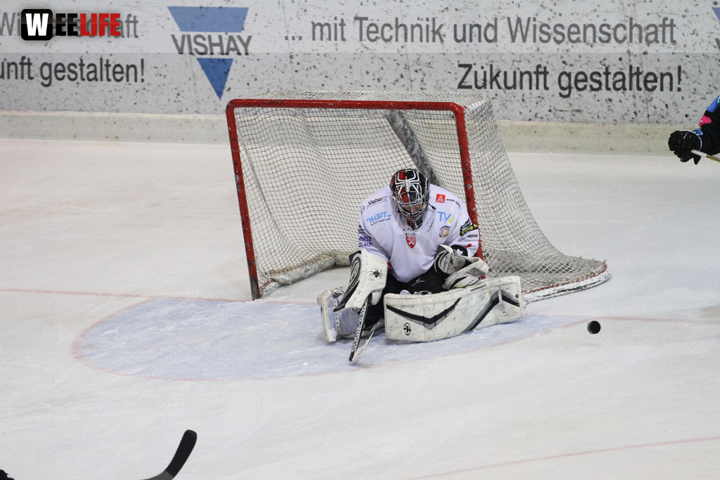 Selber Wölfe - EV Regensburg