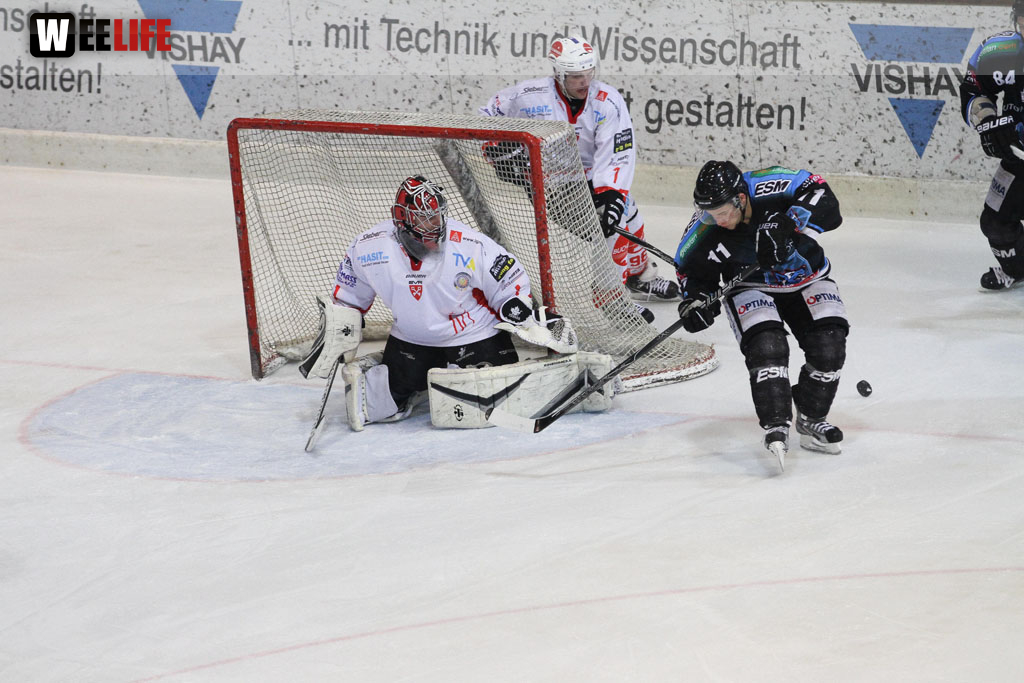 Selber Wölfe - EV Regensburg
