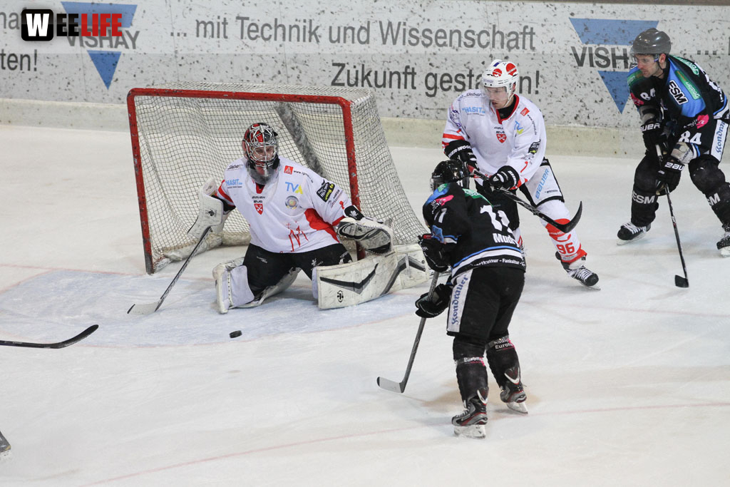 Selber Wölfe - EV Regensburg