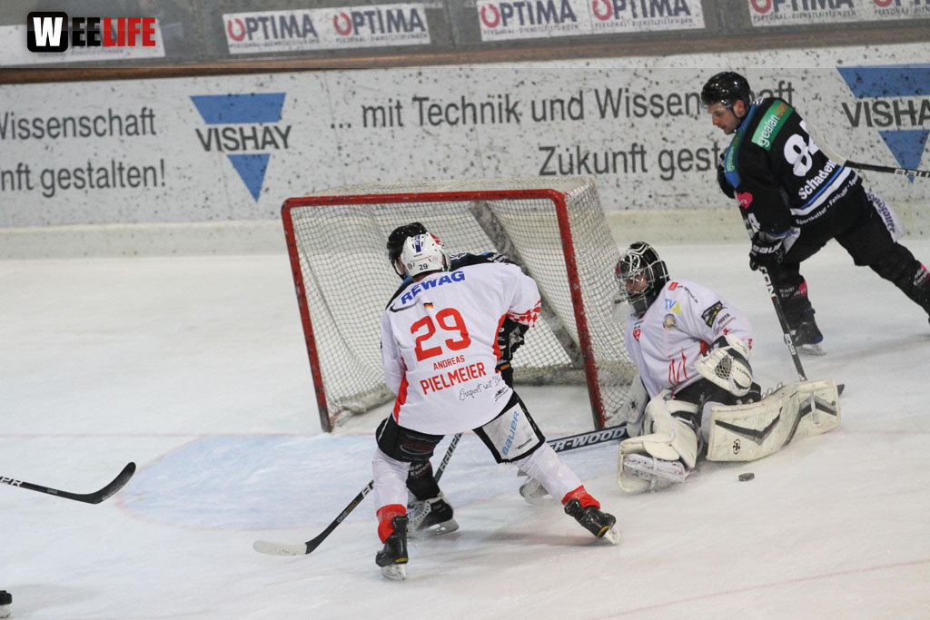 Selber Wölfe - EV Regensburg