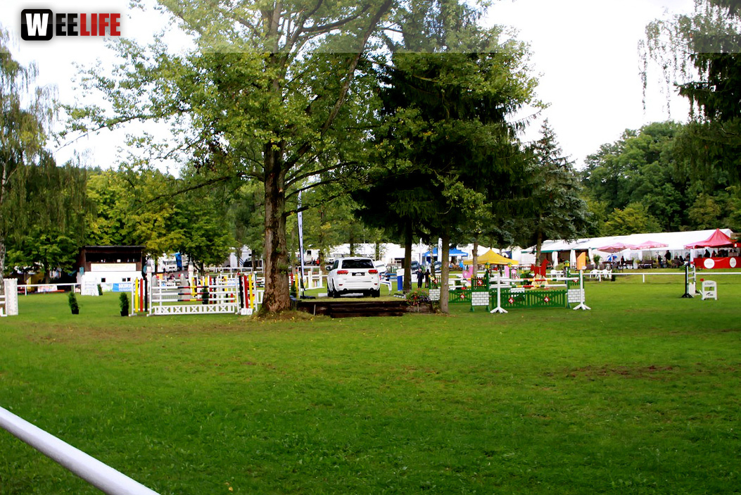 Hofer Springtage 2014