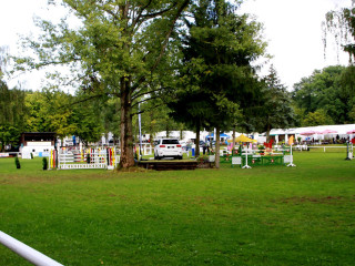 Foto 98817 im Album