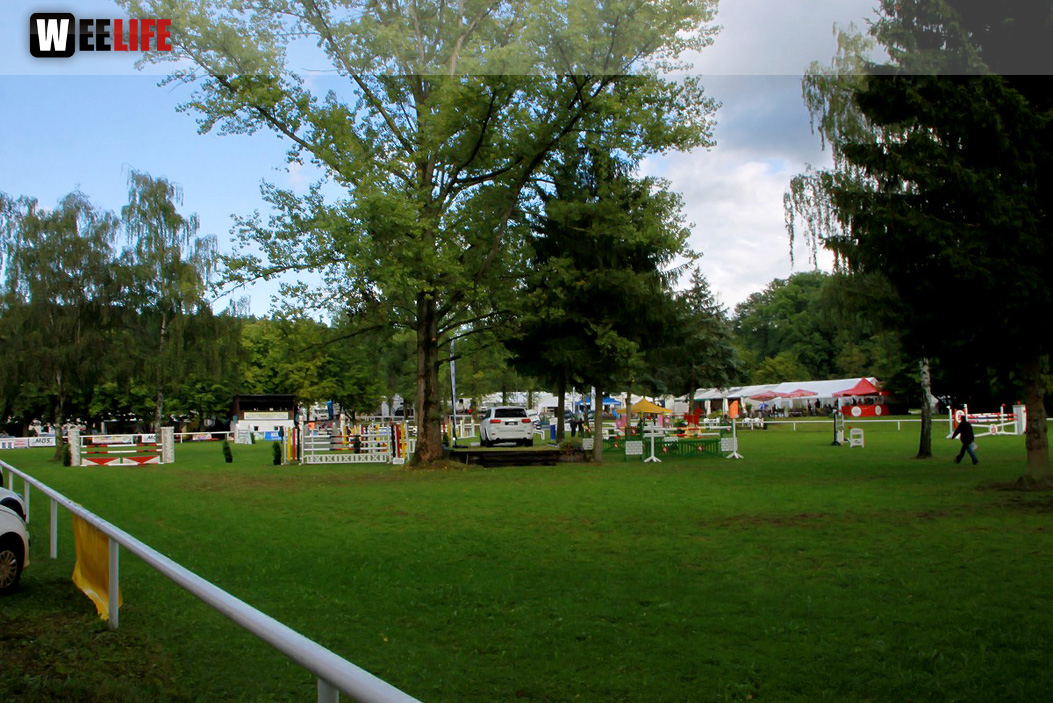 Hofer Springtage 2014