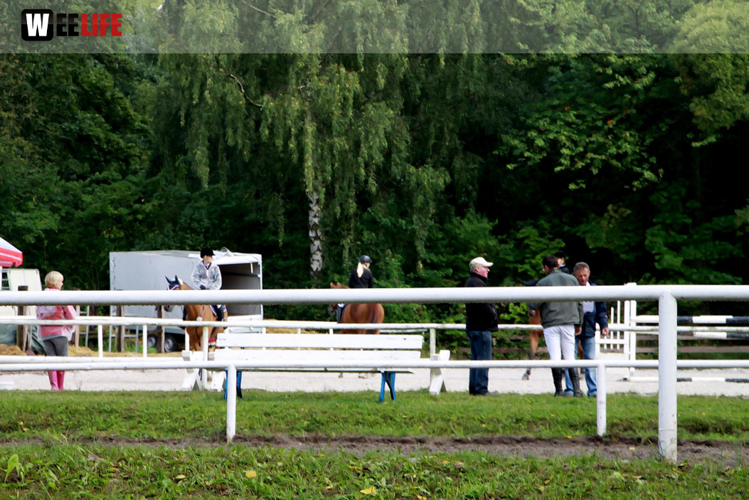 Hofer Springtage 2014