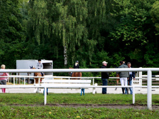 Foto 98821 im Album
