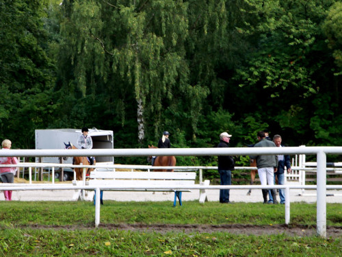 Hofer Springtage 2014 – Foto 5