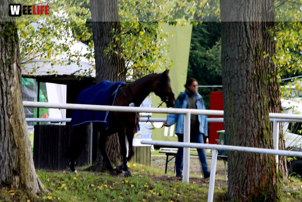 Hofer Springtage 2014