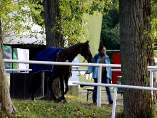 Foto 98823 im Album