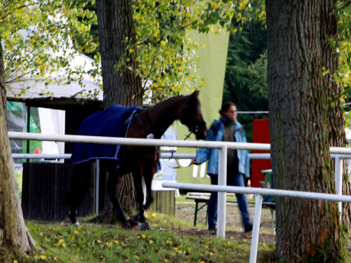 Hofer Springtage 2014 – Foto 7