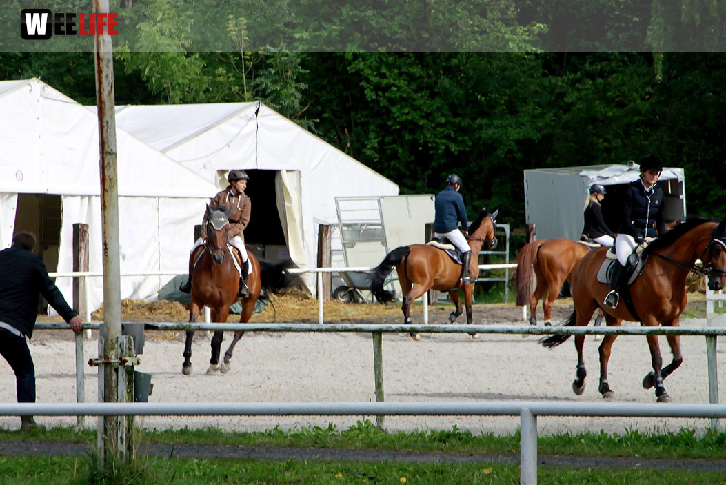 Hofer Springtage 2014