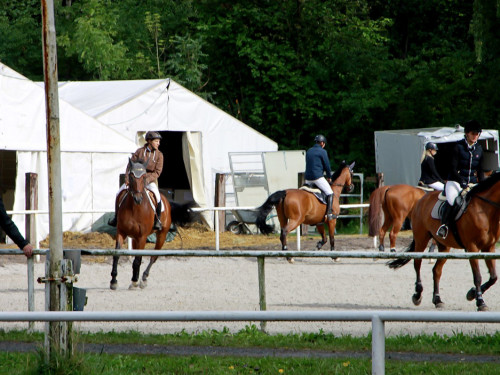 Hofer Springtage 2014 – Foto 8