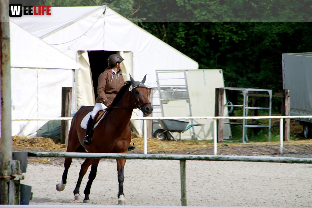 Hofer Springtage 2014