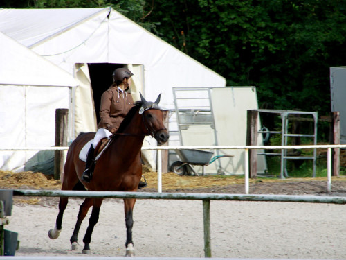 Hofer Springtage 2014 – Foto 9