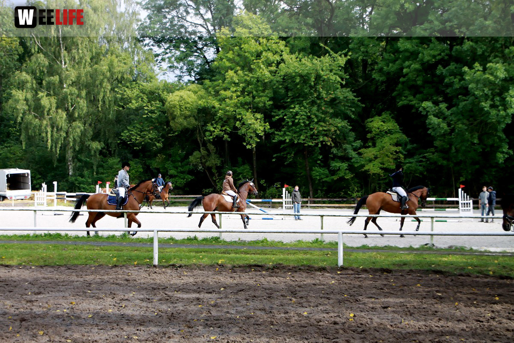Hofer Springtage 2014