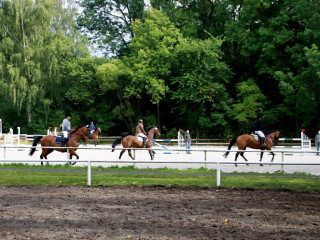 Foto 98826 im Album