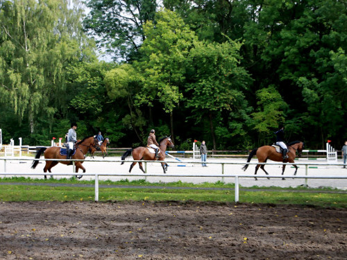 Hofer Springtage 2014 – Foto 10