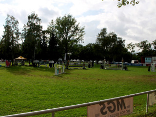Foto 98827 im Album