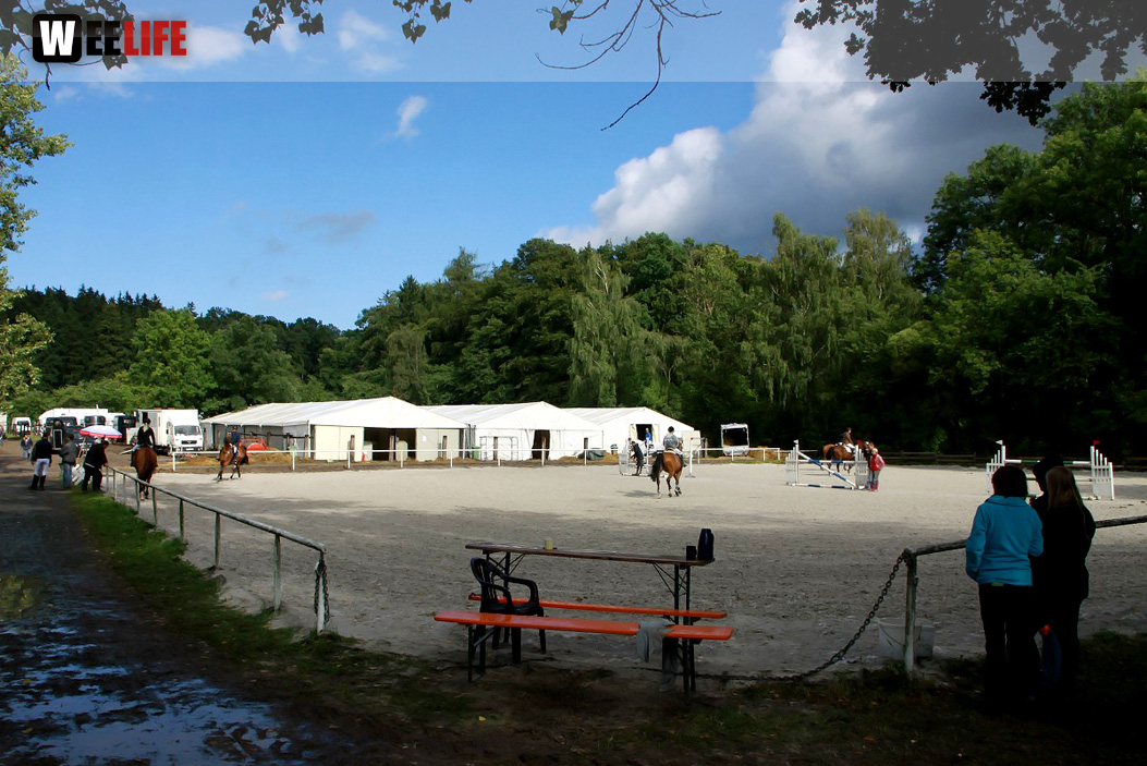 Hofer Springtage 2014