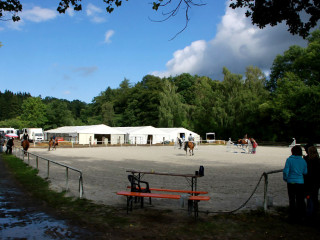 Foto 98829 im Album