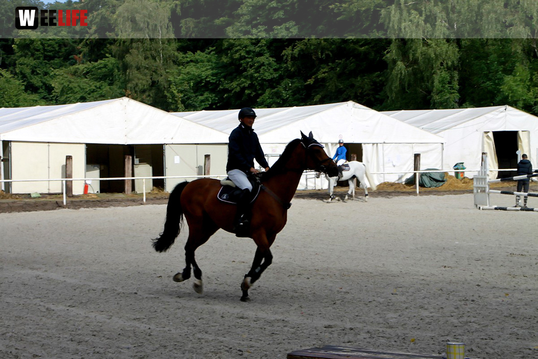 Hofer Springtage 2014