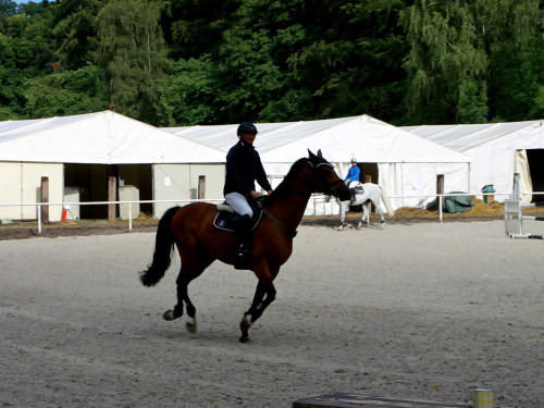 Hofer Springtage 2014 – Foto 14