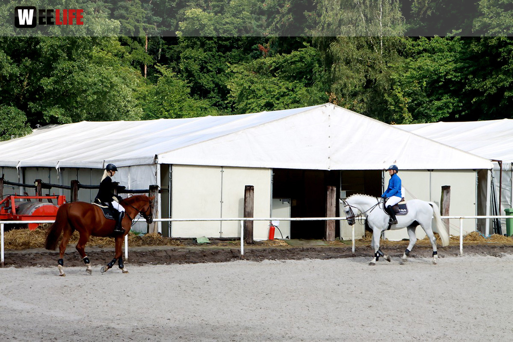 Hofer Springtage 2014