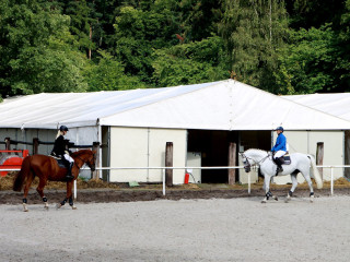 Foto 98831 im Album