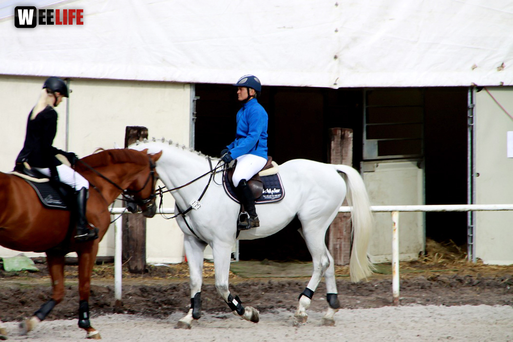 Hofer Springtage 2014