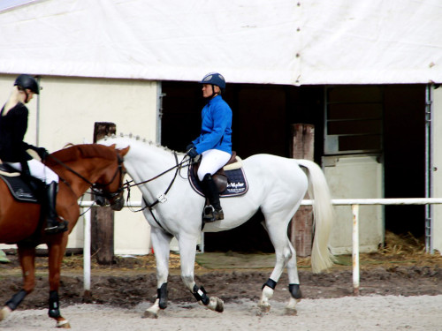 Hofer Springtage 2014 – Foto 16