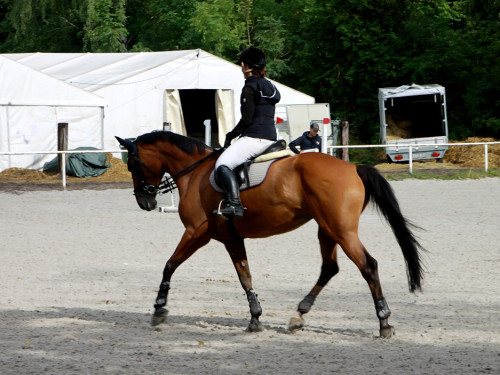 Hofer Springtage 2014 – Foto 17