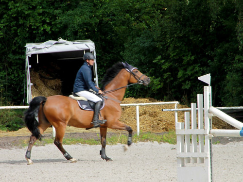 Hofer Springtage 2014 – Foto 18