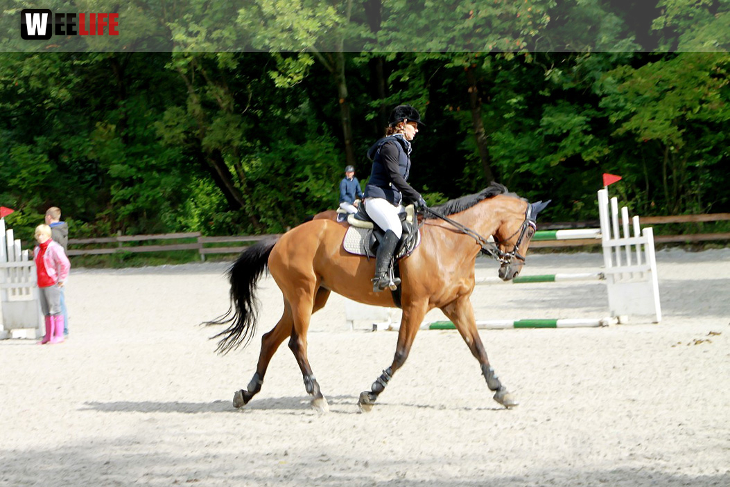 Hofer Springtage 2014