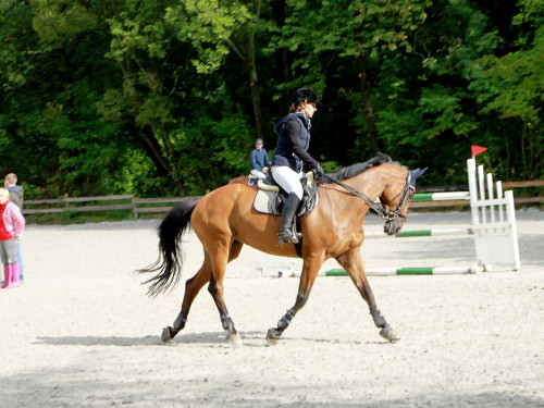 Hofer Springtage 2014 – Foto 19