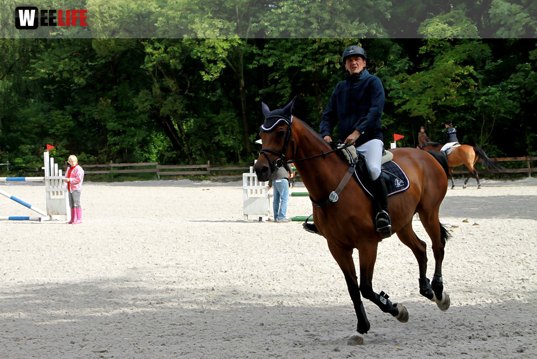 Hofer Springtage 2014