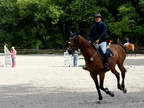 Hofer Springtage 2014 – Foto 20
