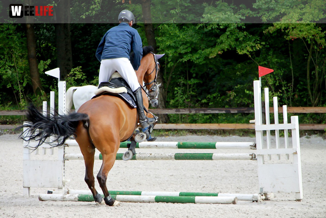 Hofer Springtage 2014
