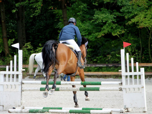 Hofer Springtage 2014 – Foto 22