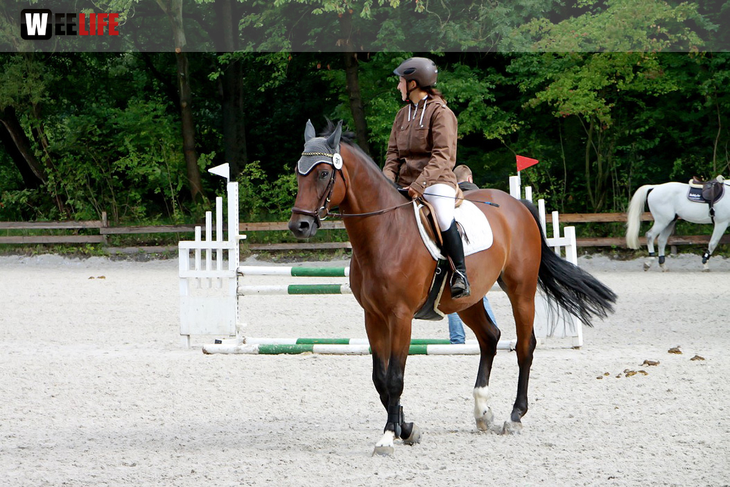 Hofer Springtage 2014