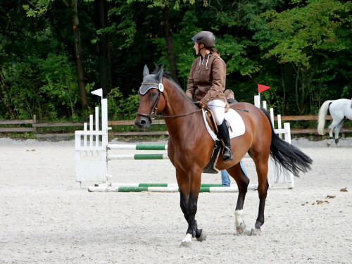 Hofer Springtage 2014 – Foto 23