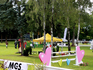 Foto 98844 im Album