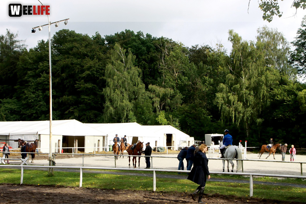Hofer Springtage 2014