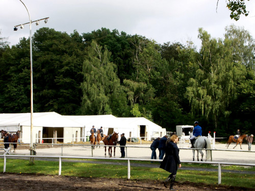 Hofer Springtage 2014 – Foto 34