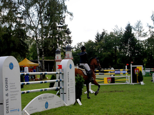 Hofer Springtage 2014 – Foto 48