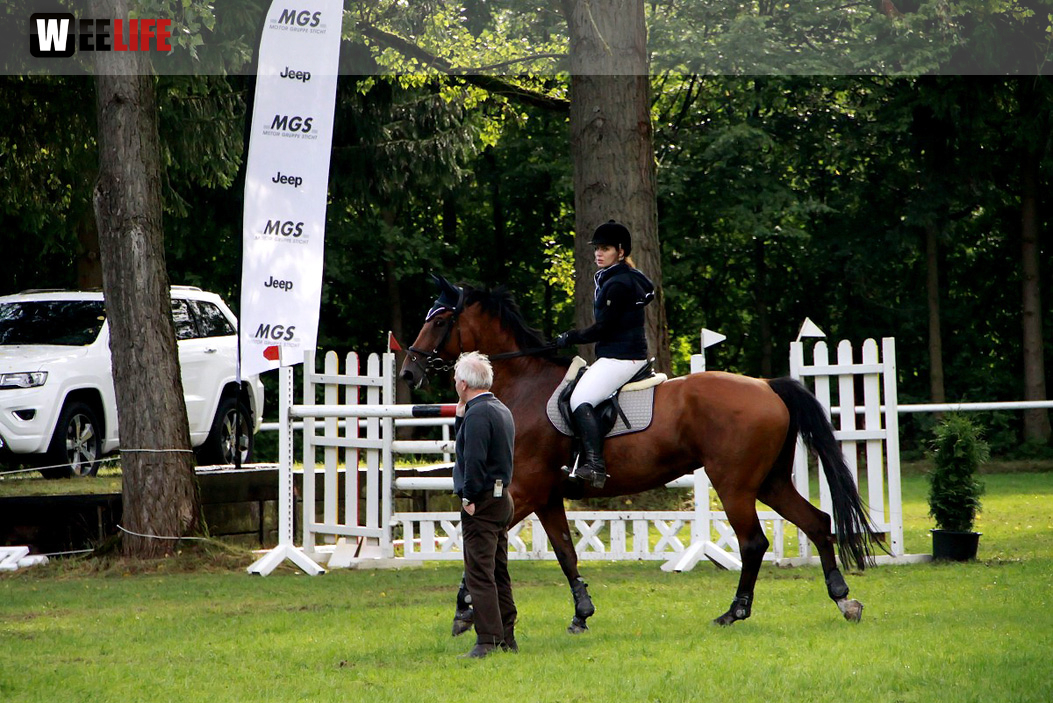 Hofer Springtage 2014